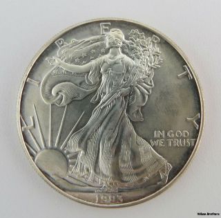 1993 American Silver Eagle - 1oz.  999 Dollar Ase Investment Coin photo