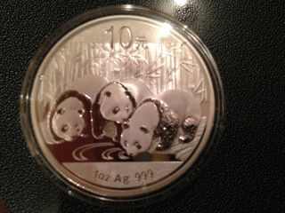 2013 Chinese Panda 1 Oz. .  999 Silver 10 Yuan photo