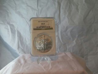 2007 - W Silver American Eagle (ngc Ms - 69),  Brilliant Uncirculated 4015 photo