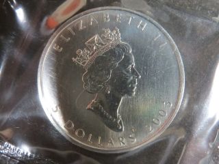 2003 Silver Maple Leaf $5 Canadian Canada Coin 1 Oz Mylar Pouch photo
