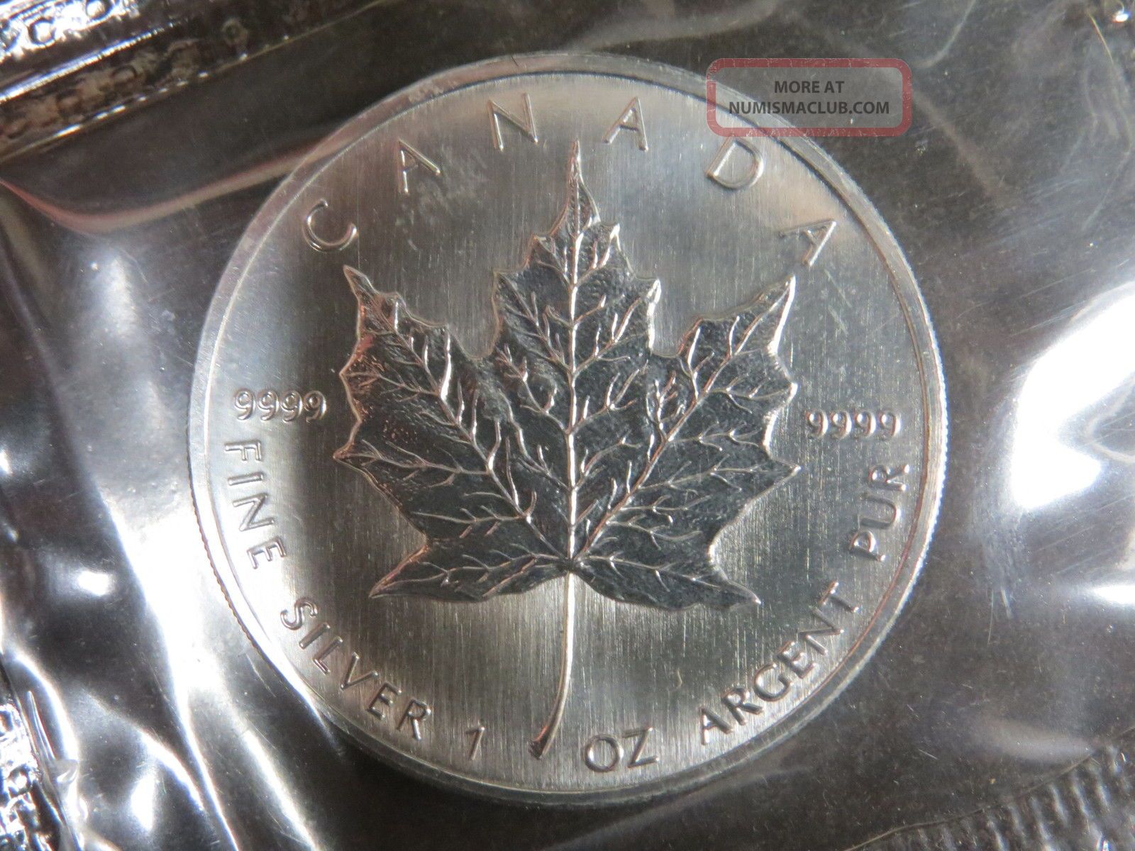 1 oz canadian silver maple leaf coin