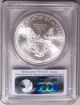 2014 - (s) Silver Eagle Pcgs Ms70 First Strike,  Struck At San Francisco Silver photo 1