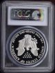 1990 S $1 American Silver Eagle Pcgs Pr70 Dcam Rare Silver photo 3