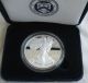 2011 - W - American Eagle Silver Proof One Ounce With Boxes & Silver photo 1
