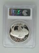 2001 P Pcgs Pr70 Dcam Buffalo Proof - Modern Commemorative Silver Dollar Rare $1 Commemorative photo 1