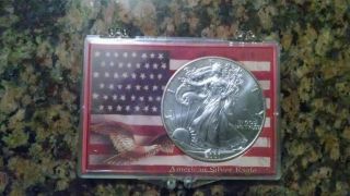 2001 American Eagle/walking Liberty Silver Dollar photo