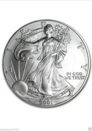2001 1 Troy Oz.  99.  93% Fine Silver Walking Liberty American Eagle photo