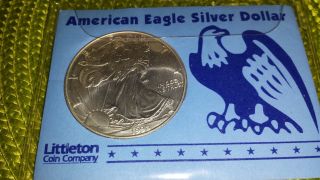 1998 Amercian Eagle Silver Dollar Littleton Coin Co. photo