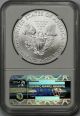 2013 - (w) Silver Eagle $1 Ms 70 Ngc E/r Struck At West Point Star Label Silver photo 1
