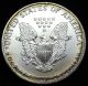 1991 Silver Eagle Dollar 1 Oz Of.  999 Fine Silver Gorgeous Rainbow Rim B330 Silver photo 1