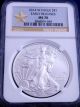 Burnished 2014 W Ms 70 Ngc Gold Star Early Release American Silver Eagle Perfect Silver photo 2