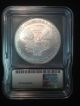 2010 Silver Eagle Icg Certified Ms70 Ase Ms 70 First Day Of Issue American S$1 Silver photo 1