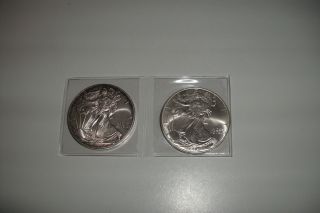Two Silver Eagles,  1996 And 2009 photo