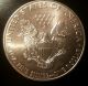 2011 American Eagle Silver Dollar 1 Oz Coin Uncirculated Silver photo 1