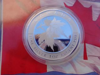 2005 Canadian Maple Of Hope Chinese Hologram Series.  9999 Fine Silver photo