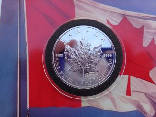 2000 Canadian Maple Leaf Millennium Privy Coin.  9999 Fine Silver photo