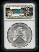 2013 American Silver Eagle (er) - Ngc Ms 69 - Bu 1 Oz.  999 Fine Silver Silver photo 1