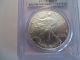 2007 W 1 Oz Silver American Eagle,  Uncirculated,  Pcgs Ms 69,  First Strike Silver photo 3