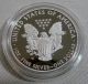 2010 - W American Eagle 99.  9% Silver Proof Coin With Packaging & Silver photo 1