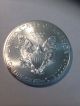 2013 American Eagle Silver Dollar 1 Oz.  999 Uncirculated Silver photo 1