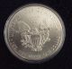 1 Troy Oz Silver American Eagle Coin.  999 Silver Uncirculated Silver photo 2