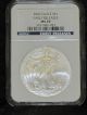 2009 Ms 69 Ngc Early Release Certified American Silver Eagle Silver photo 2