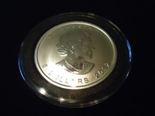 2012 1 Oz Silver Canadian Maple Leaf Coin photo