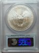 2013 (s) Silver American Eagle - Ms - 70 Pcgs 309 What You See Is What You Get Silver photo 1