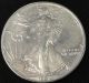 1991 American Silver Eagle Bullion Coin Key Date Investment Grade 1 Oz Silver Silver photo 1