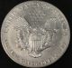1991 American Silver Eagle Bullion Coin Key Date Investment Grade 1 Oz Silver Silver photo 3