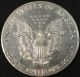 1987 American Silver Eagle Bullion Coin Key Date Investment Grade 1 Oz Silver Silver photo 2