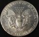 1987 American Silver Eagle Bullion Coin Key Date Investment Grade 1 Oz Silver Silver photo 3