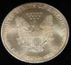 1998 American Silver Eagle Bullion Coin U.  S.  Winter Championships.  999 Silver Silver photo 2