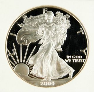 2004 W Proof $1 American Eagle 1 Oz Silver Flawless Ngc Pf 69 Ultra Cameo Coin photo