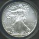 2008 $1 U.  S.  Silver American Eagle Coin +++anacs Slabbed Ms - 70+++ Silver photo 2