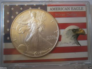 Bu 2003 $1 One Troy Ounce 0.  999 Silver American Eagle photo