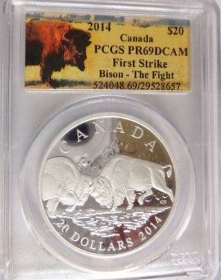 2014 - The Bison - The Fight - Pcgs Pf69dcam Silver Proof photo