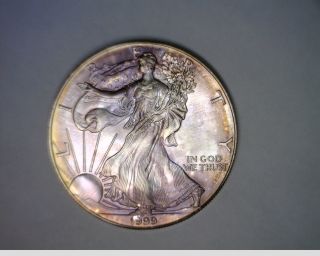 1998 Silver American Eagle Pink/purple Toning Color photo