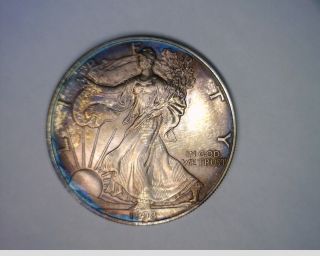 1998 Silver American Eagle Cobalt Blue Toning Color photo