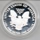 2010 Proof American Silver Eagle 1 Oz Silver Includes Box & Nr Silver photo 1