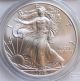 2010 $1 American 1 Oz 999 Silver Eagle Coin Pcgs Ms70 First Strike Ms 70 Bu+ Silver photo 1