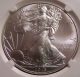 2013 Ms69 First Releases Silver Eagle One Troy Ounce Silver photo 1