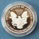 2007 Proof Silver Eagle And Silver photo 1