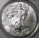 2013 Silver Eagle Anacs Ms70 Perfect Grade First Day Issue Silver Coin Ede4 - 10 Silver photo 2