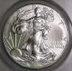 2013 Silver Eagle Anacs Ms70 Perfect Grade First Day Issue Silver Coin Ede4 - 10 Silver photo 3