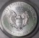 2013 Silver Eagle Anacs Ms70 Perfect Grade First Day Issue Silver Coin Ede4 - 10 Silver photo 6
