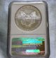2009 Silver American Eagle - 1 0z.  Silver Coin - Ngc Ms 69 - Bright - Shiny - Silver photo 3