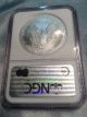 2007 Silver American Eagle 1 0z.  Coin - Ngc Ms 69 - Early Releases - Beauty Silver photo 7