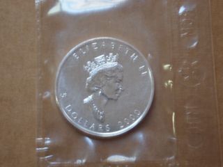 2000 1 Oz Silver Canadian Maple Leaf Coin - Fireworks Privy - Rcm photo