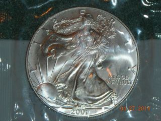 2001 1 Oz Silver American Eagle (brilliant Uncirculated) photo